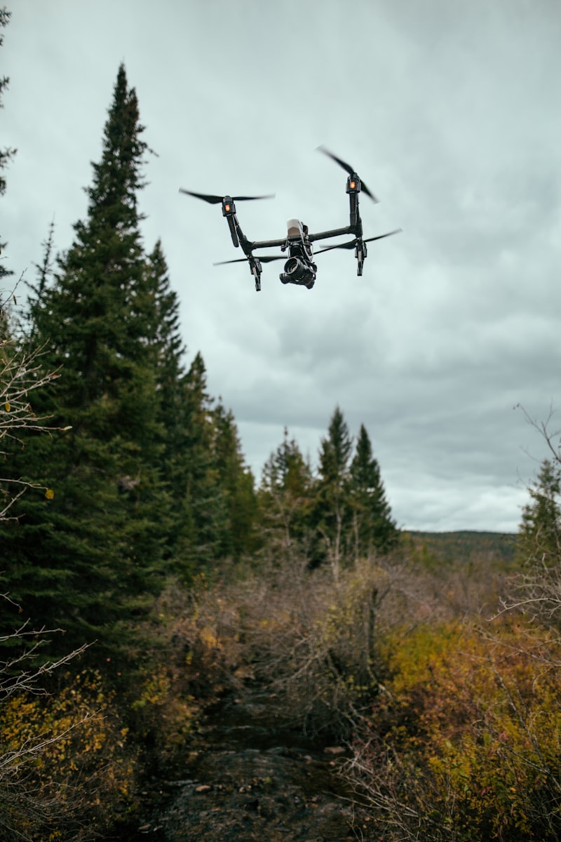 Drone